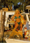 thm_FIRE-W02.gif